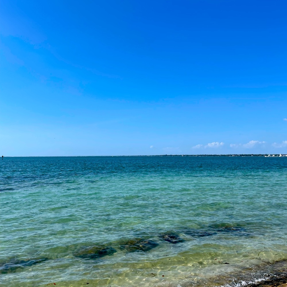 Meet your Posher, Carolina